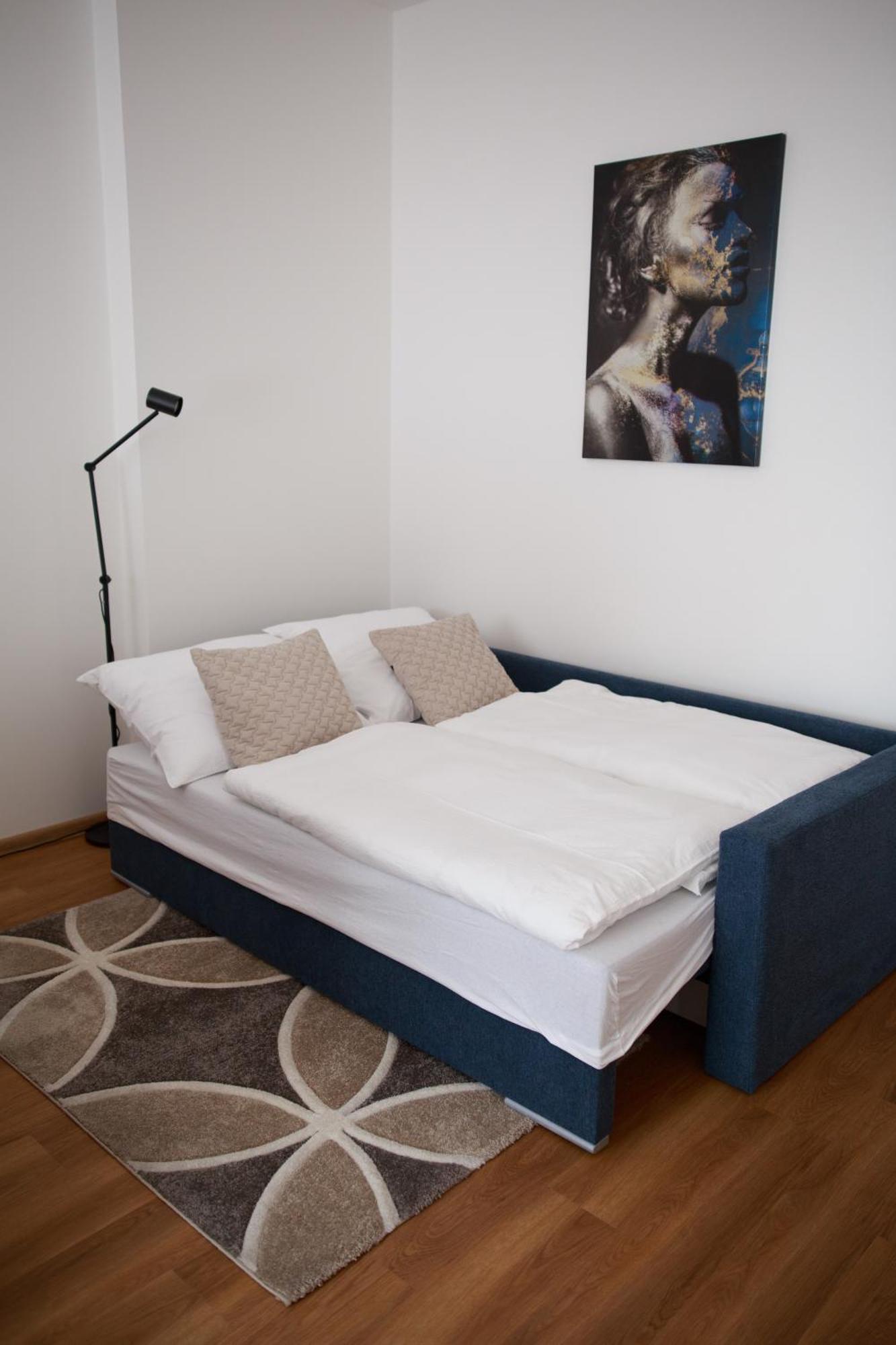 Apartment Dita 카를로비바리 외부 사진